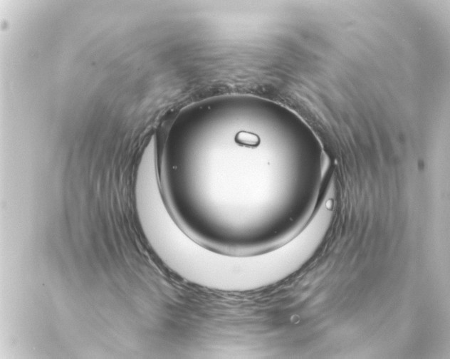 X0000088881298200706221804