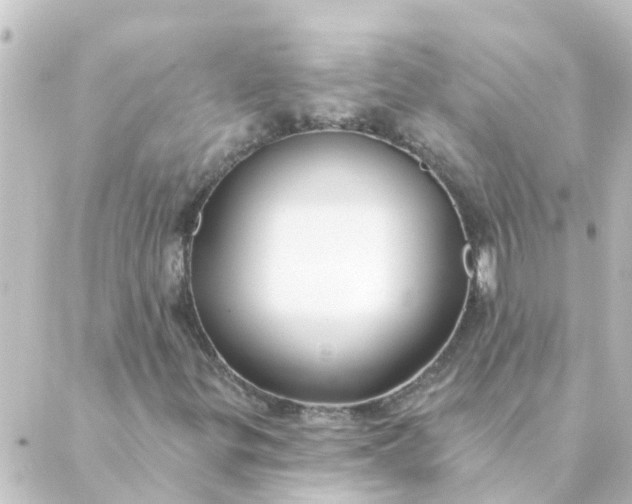 X0000088881299200706221804