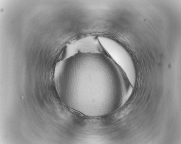 X0000088881300200706221804