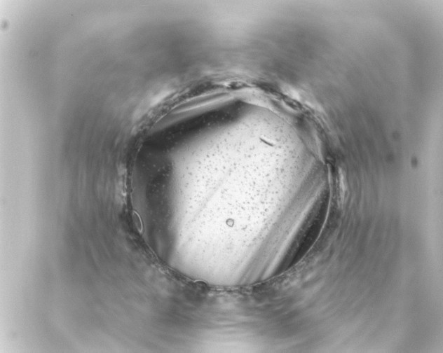 X0000088881301200706221804