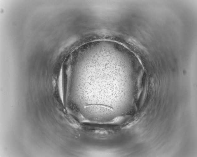 X0000088881302200706221804