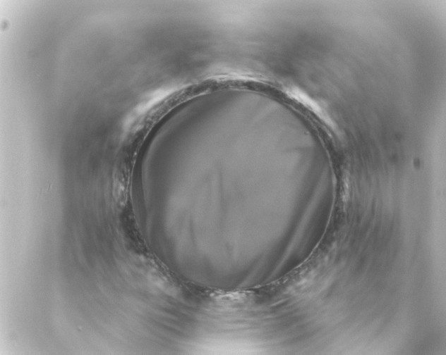 X0000088881303200706221804