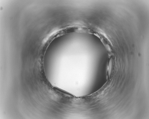 X0000088881304200706221804