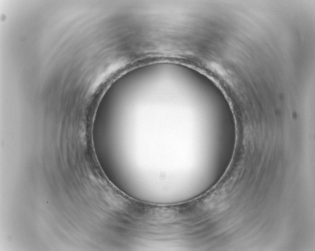 X0000088881307200706221804