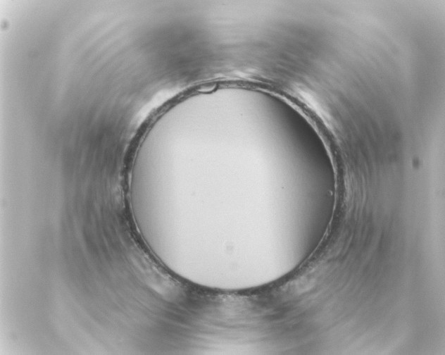 X0000088881308200706221804