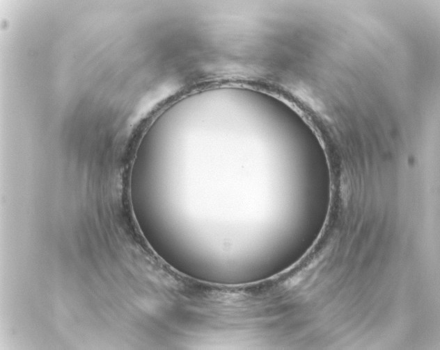 X0000088881309200706221804