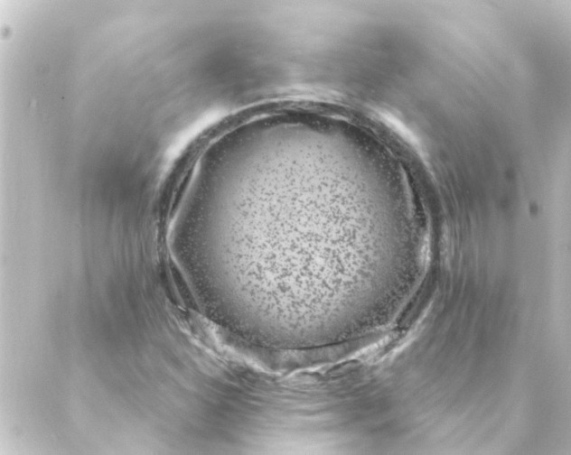 X0000088881310200706221804