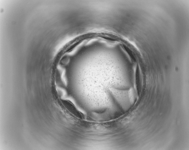 X0000088881311200706221804