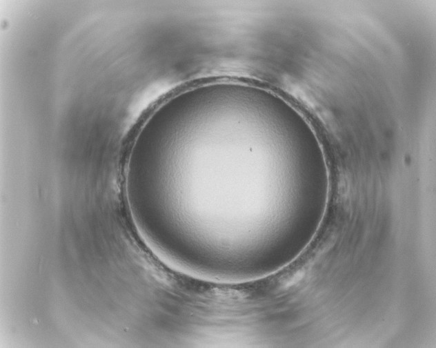 X0000088881312200706221805