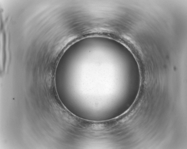 X0000088881313200706221805