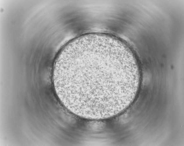 X0000088881314200706221805