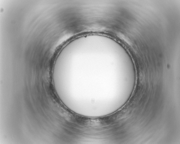 X0000088881315200706221805