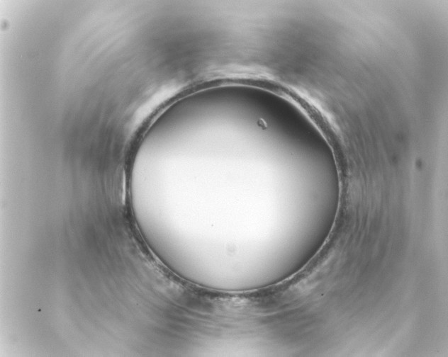 X0000088881317200706221805