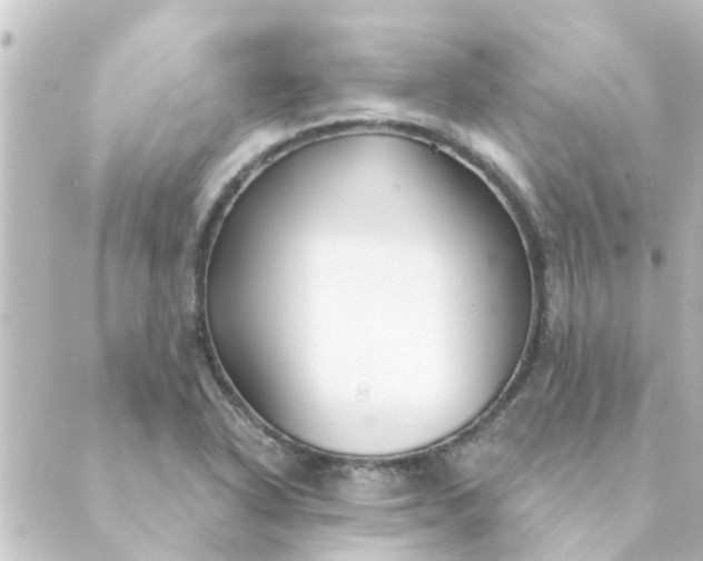 X0000088881318200706221805