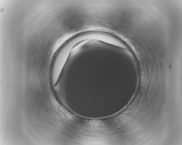 X0000088881319200706221805