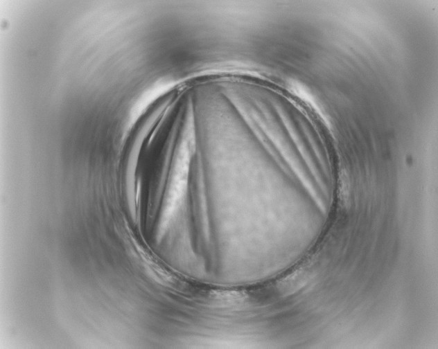 X0000088881320200706221805