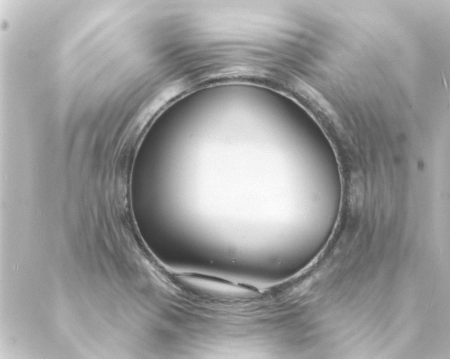 X0000088881321200706221805