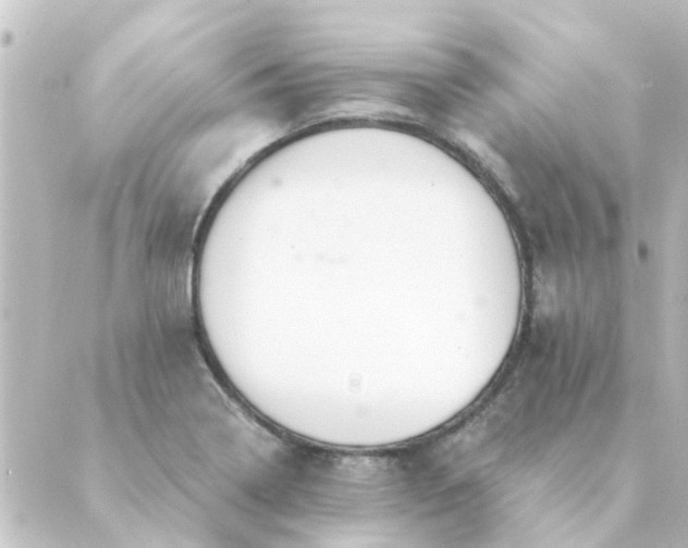 X0000088881322200706221805