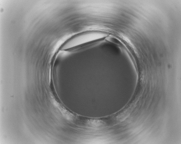 X0000088881323200706221805