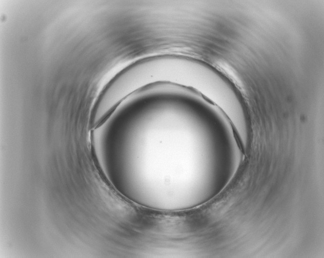 X0000088881324200706221805