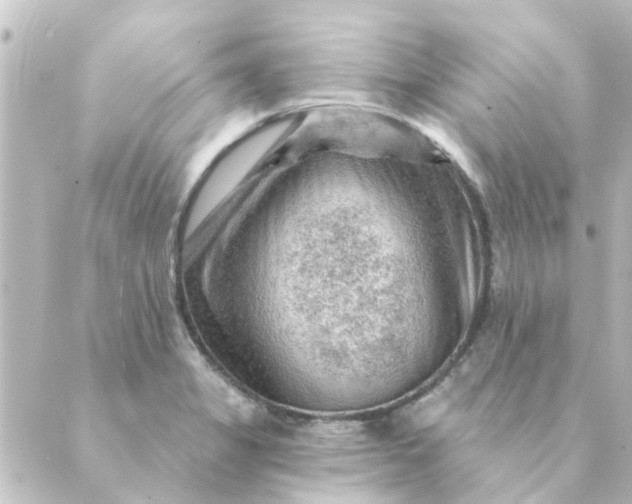 X0000088881325200706221805