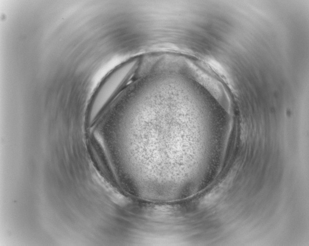 X0000088881326200706221805