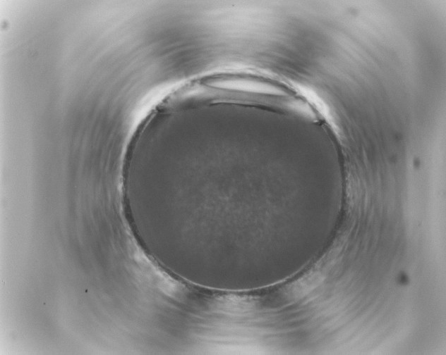 X0000088881327200706221805