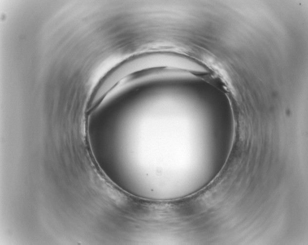 X0000088881328200706221805