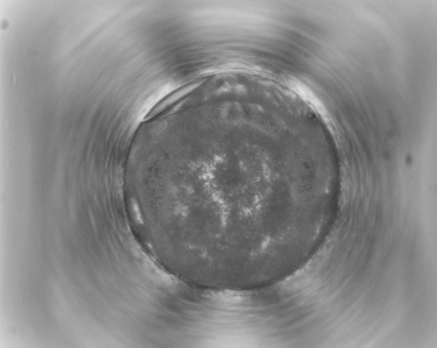 X0000088881329200706221805