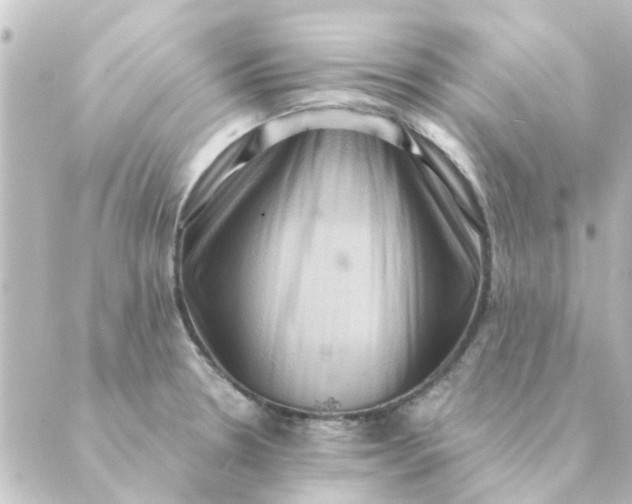 X0000088881330200706221805