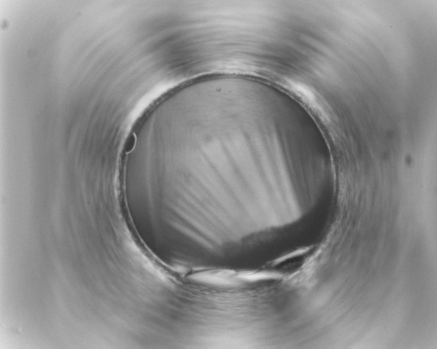 X0000088881331200706221805