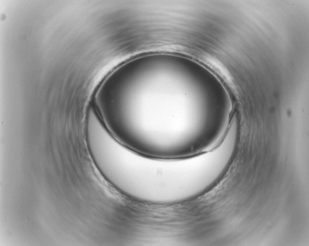 X0000088881332200706221805