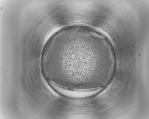 X0000088881333200706221805