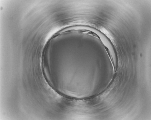 X0000088881334200706221805