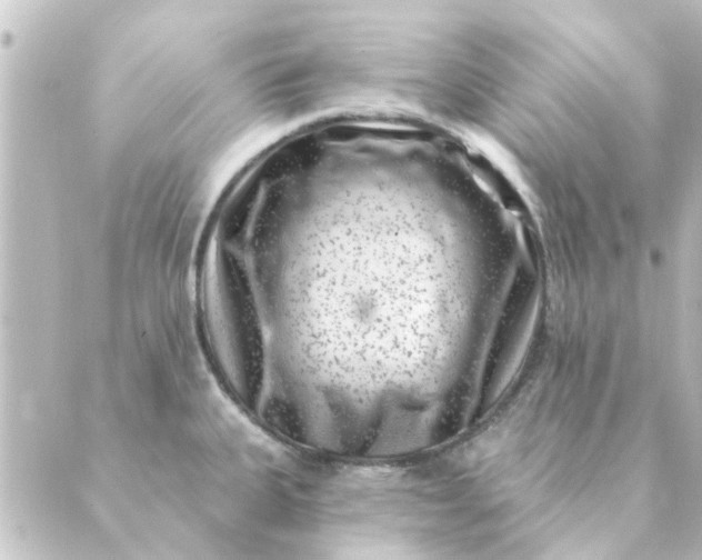 X0000088881335200706221805