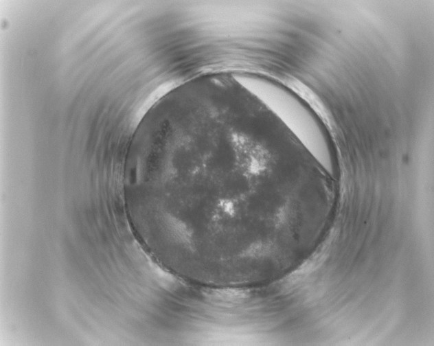 X0000088881337200706221805