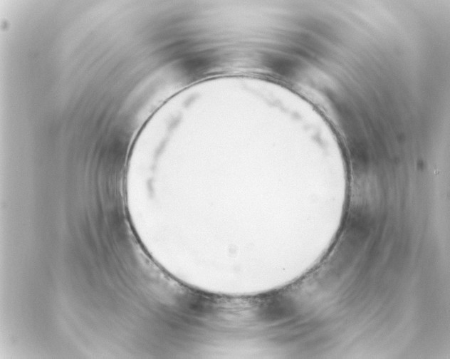 X0000088881338200706221805