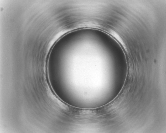 X0000088881339200706221805