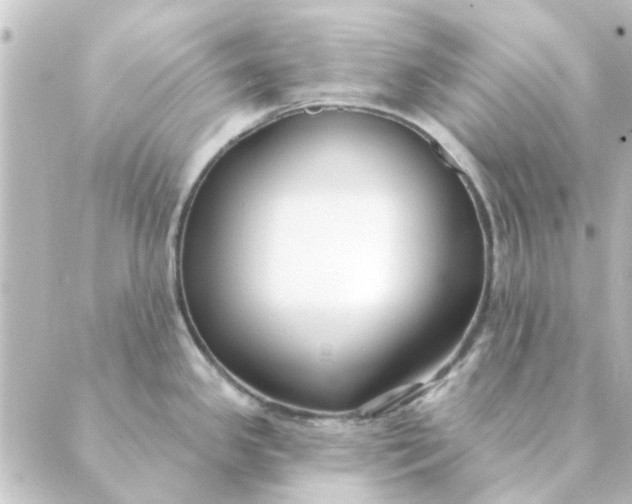 X0000088881341200706221805