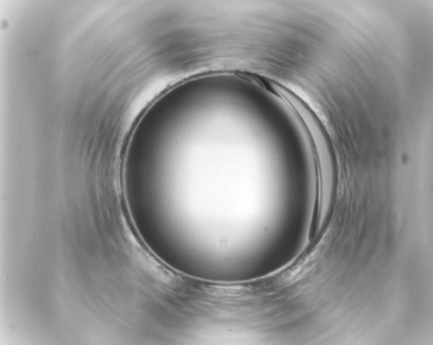 X0000088881342200706221805