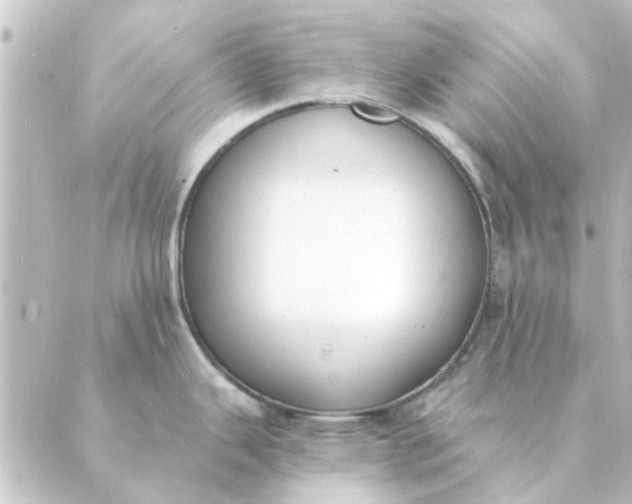 X0000088881343200706221805