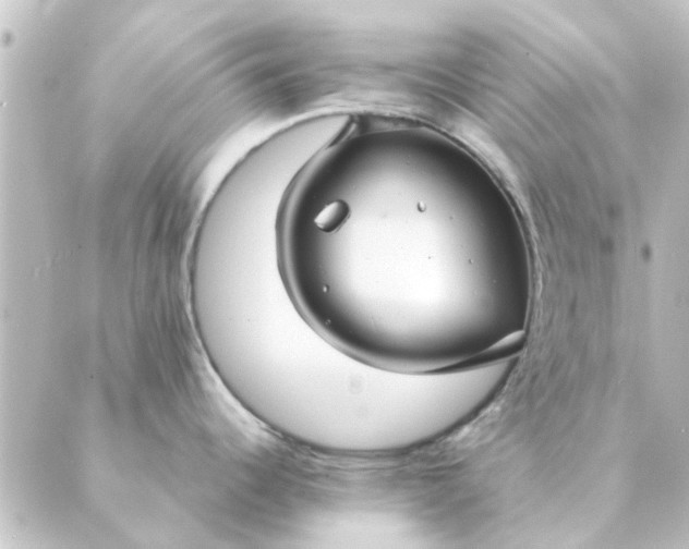 X0000088881344200706221805