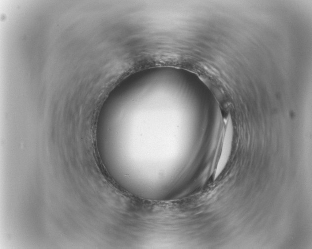 X0000088881345200706221804