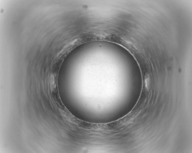 X0000088881347200706221804