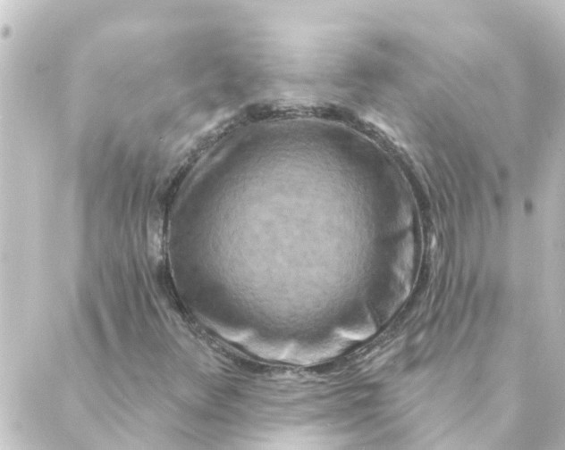 X0000088881348200706221804