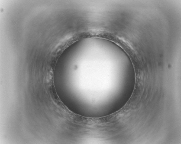 X0000088881349200706221804