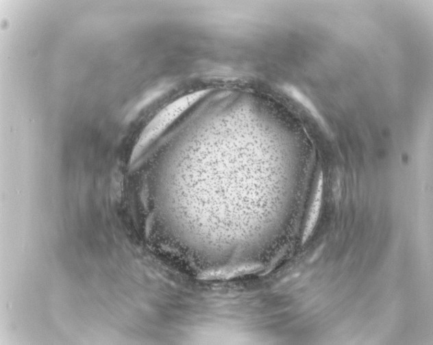 X0000088881350200706221804