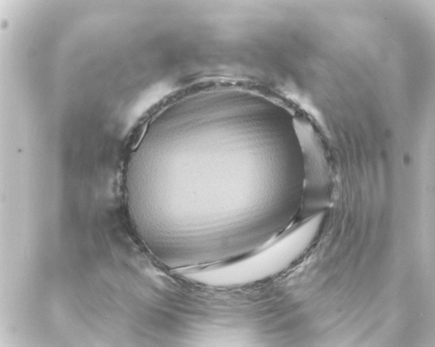 X0000088881352200706221804