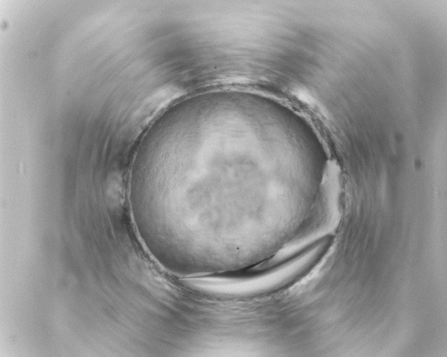 X0000088881353200706221804