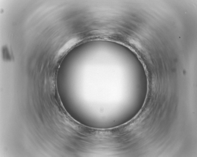 X0000088881354200706221804